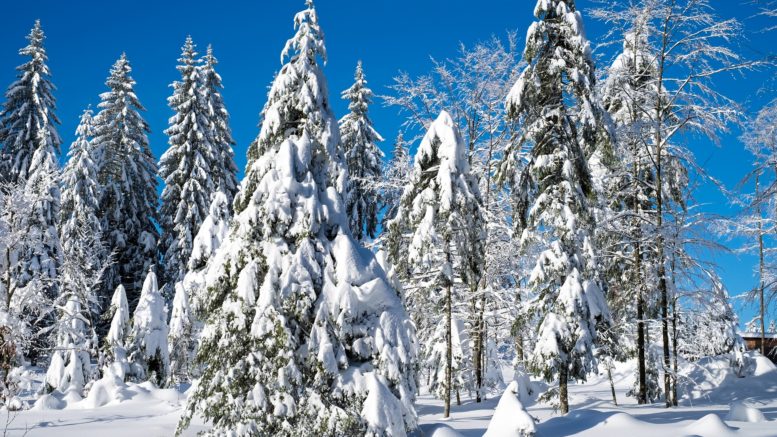 Tipps um gesünder durch die Winterzeit zu kommen